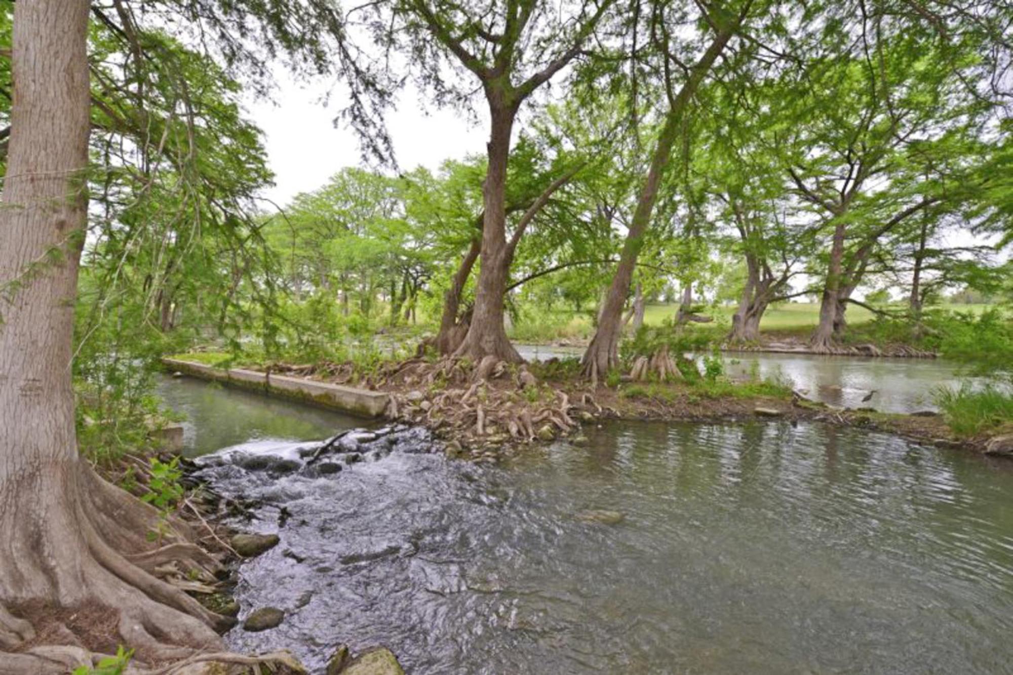 Water Wheel Resort Condo Resort New Braunfels Ruang foto